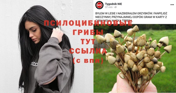 тгк Покачи