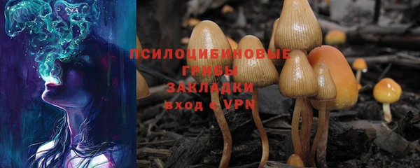 амфетамин Покров